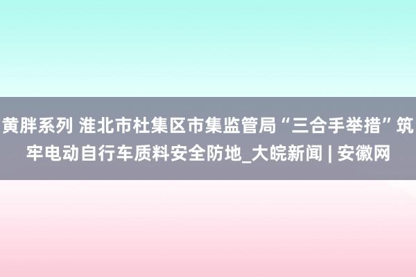 黄胖系列 淮北市杜集区市集监管局“三合手举措”筑牢电动自行车质料安全防地_大皖新闻 | 安徽网