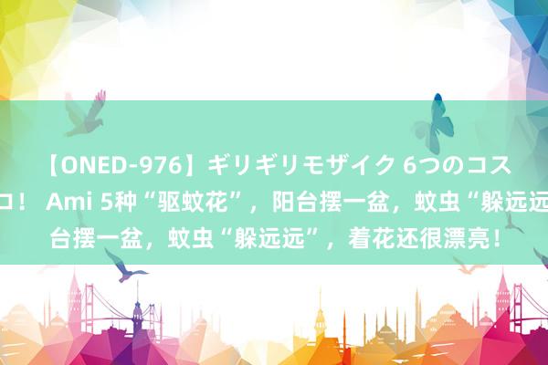 【ONED-976】ギリギリモザイク 6つのコスチュームでパコパコ！ Ami 5种“驱蚊花”，阳台摆一盆，蚊虫“躲远远”，着花还很漂亮！