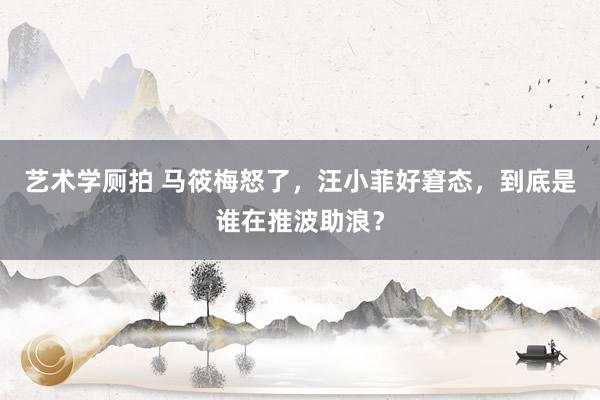 艺术学厕拍 马筱梅怒了，汪小菲好窘态，到底是谁在推波助浪？