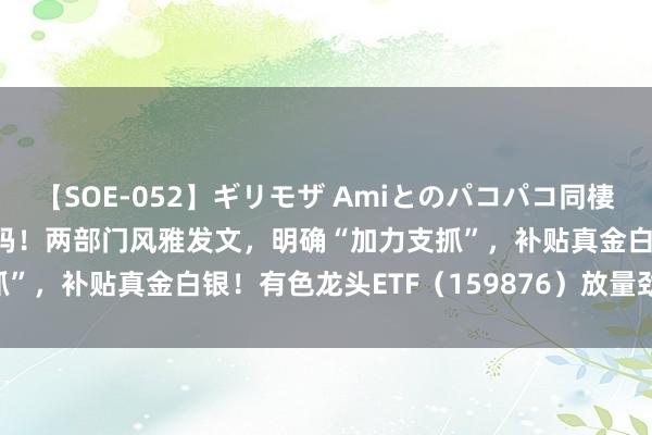 【SOE-052】ギリモザ Amiとのパコパコ同棲生活 Ami “两新”再加码！两部门风雅发文，明确“加力支抓”，补贴真金白银！有色龙头ETF（159876）放量劲涨2.17%