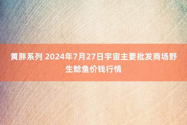 黄胖系列 2024年7月27日宇宙主要批发商场野生鲶鱼价钱行情