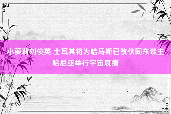 小萝莉刘俊英 土耳其将为哈马斯已故伙同东谈主哈尼亚举行宇宙哀痛