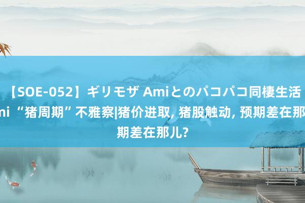 【SOE-052】ギリモザ Amiとのパコパコ同棲生活 Ami “猪周期”不雅察|猪价进取， 猪股触动， 预期差在那儿?