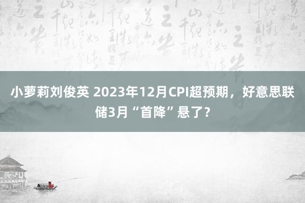 小萝莉刘俊英 2023年12月CPI超预期，好意思联储3月“首降”悬了？