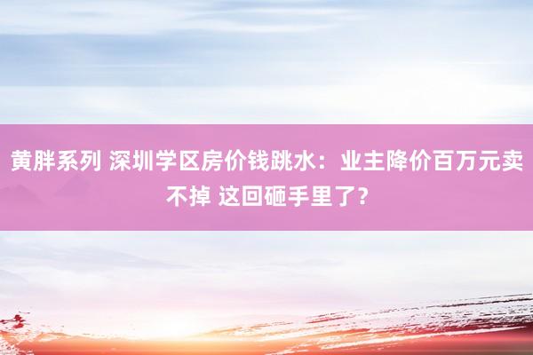 黄胖系列 深圳学区房价钱跳水：业主降价百万元卖不掉 这回砸手里了？