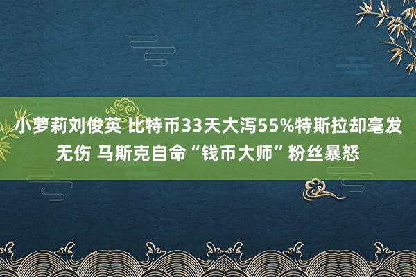 小萝莉刘俊英 比特币33天大泻55%特斯拉却毫发无伤 马斯克自命“钱币大师”粉丝暴怒