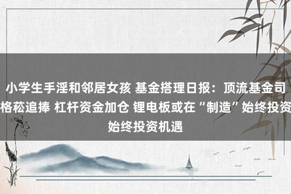 小学生手淫和邻居女孩 基金搭理日报：顶流基金司理刘格菘追捧 杠杆资金加仓 锂电板或在“制造”始终投资机遇