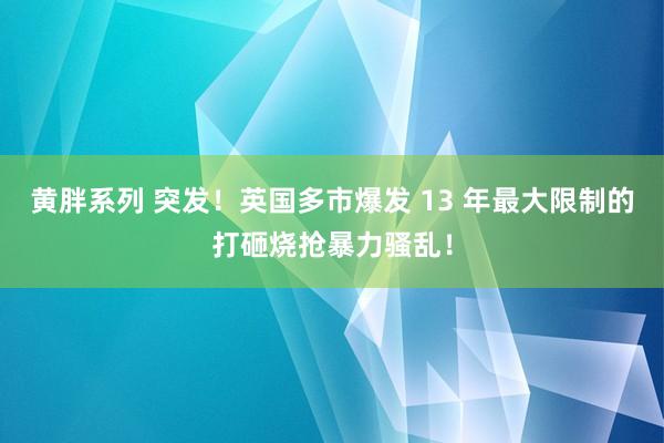 黄胖系列 突发！英国多市爆发 13 年最大限制的打砸烧抢暴力骚乱！