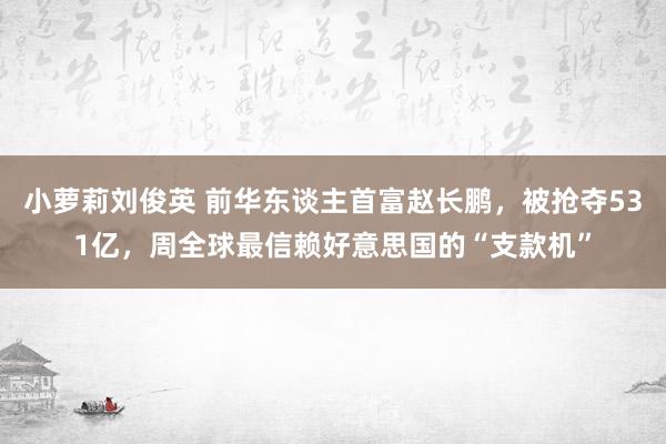 小萝莉刘俊英 前华东谈主首富赵长鹏，被抢夺531亿，周全球最信赖好意思国的“支款机”