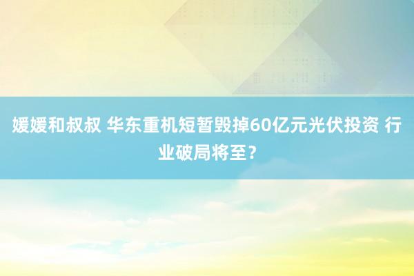 媛媛和叔叔 华东重机短暂毁掉60亿元光伏投资 行业破局将至？