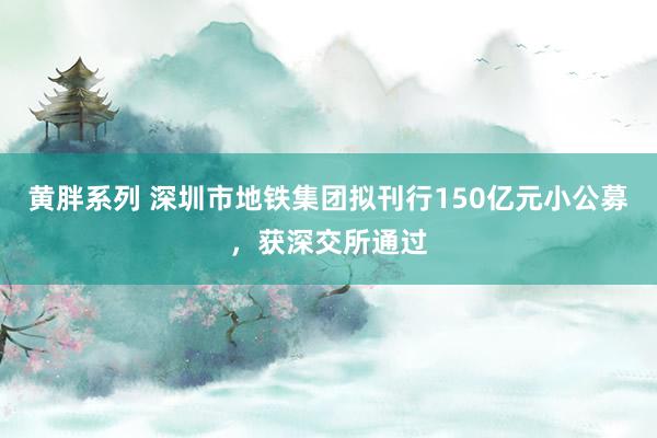 黄胖系列 深圳市地铁集团拟刊行150亿元小公募，获深交所通过