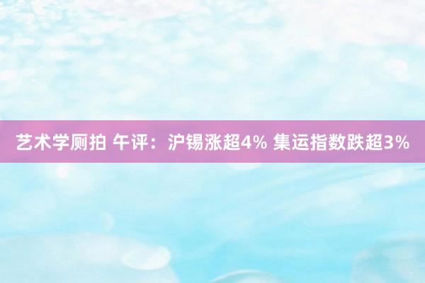 艺术学厕拍 午评：沪锡涨超4% 集运指数跌超3%