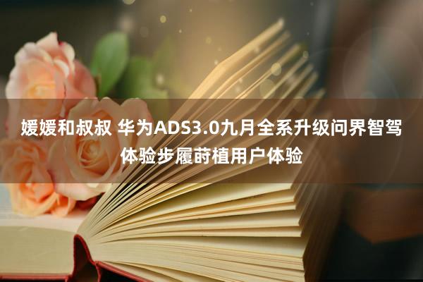 媛媛和叔叔 华为ADS3.0九月全系升级问界智驾体验步履莳植用户体验