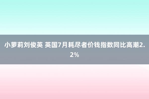 小萝莉刘俊英 英国7月耗尽者价钱指数同比高潮2.2%