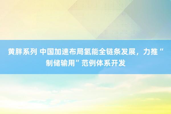 黄胖系列 中国加速布局氢能全链条发展，力推“制储输用”范例体系开发