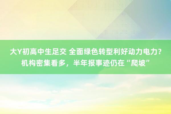 大Y初高中生足交 全面绿色转型利好动力电力？机构密集看多，半年报事迹仍在“爬坡”