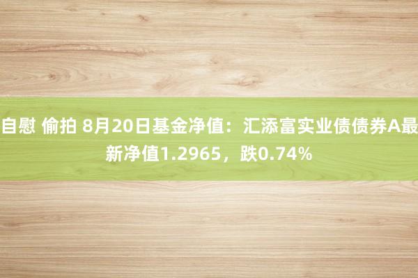 自慰 偷拍 8月20日基金净值：汇添富实业债债券A最新净值1.2965，跌0.74%