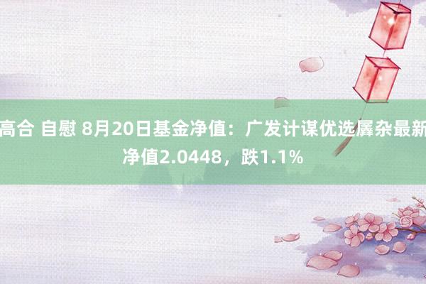 高合 自慰 8月20日基金净值：广发计谋优选羼杂最新净值2.0448，跌1.1%