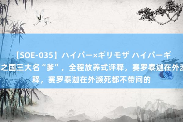 【SOE-035】ハイパー×ギリモザ ハイパーギリモザ Ami 光之国三大名“爹”，全程放养式评释，赛罗泰迦在外濒死都不带问的