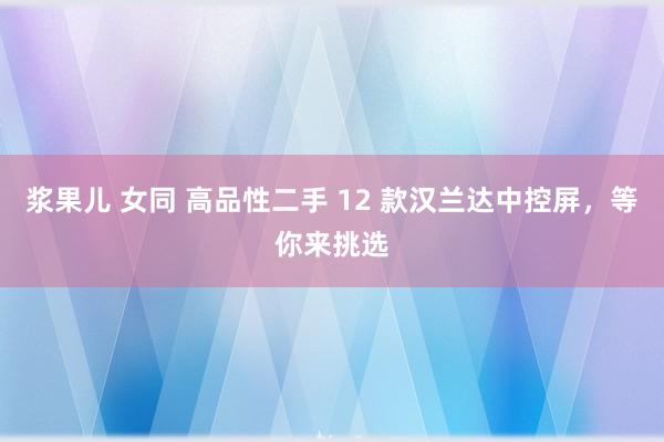 浆果儿 女同 高品性二手 12 款汉兰达中控屏，等你来挑选