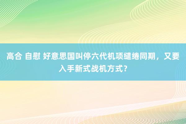 高合 自慰 好意思国叫停六代机项缱绻同期，又要入手新式战机方式？