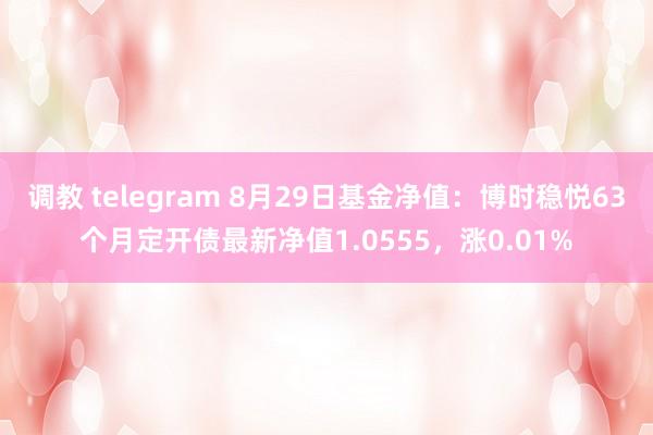 调教 telegram 8月29日基金净值：博时稳悦63个月定开债最新净值1.0555，涨0.01%