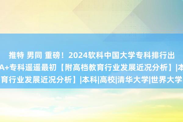 推特 男同 重磅！2024软科中国大学专科排行出炉，北京大学以100个A+专科遥遥最初【附高档教育行业发展近况分析】|本科|高校|清华大学|世界大学