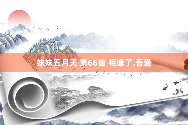 妹妹五月天 第66章 相逢了，吾爱