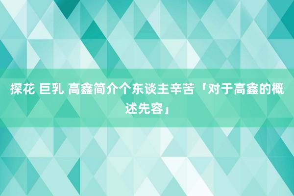 探花 巨乳 高鑫简介个东谈主辛苦「对于高鑫的概述先容」