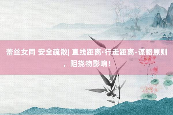 蕾丝女同 安全疏散| 直线距离·行走距离-谋略原则，阻挠物影响！